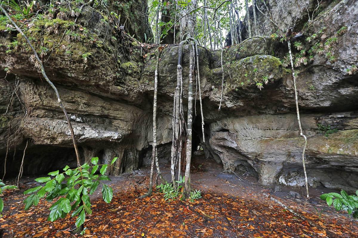 Guaviare: El primer atractivo que un turista puede encontrar en el departamento del Guaviare es la llamada Ciudad de Piedra ubicada en cercanías de la trocha Nuevo Tolima. Foto: Henry Agudelo Cano