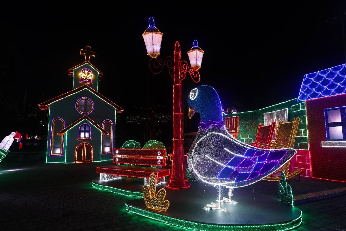 Un ritual de encendido navideño a través del alumbrado, atracción turística de la ciudad de Medellín. Foto: Manuel saldarriaga quintero