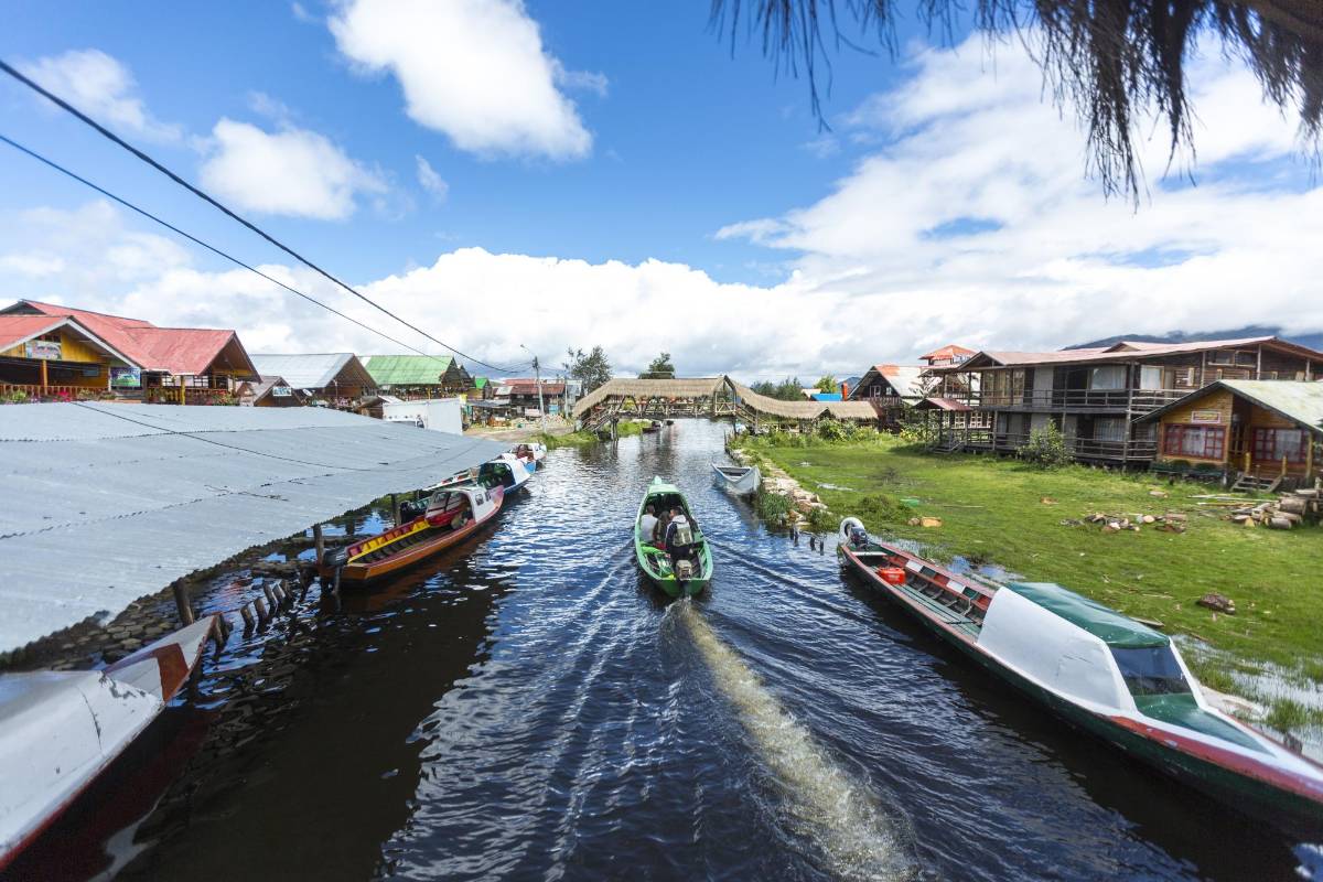 El santuario de fauna y flora isla de la Corota está ubicado en la laguna de cocha una de las mas grandes de Colombia en pasto. Foto: Camilo Suárez Echeverry.