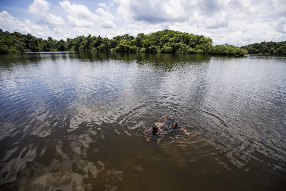 Bosques de manglares, selva húmeda higrofítica de piso térmico cálido, comunidades de playa. FOTOS : JULIO CÉSAR HERRERA