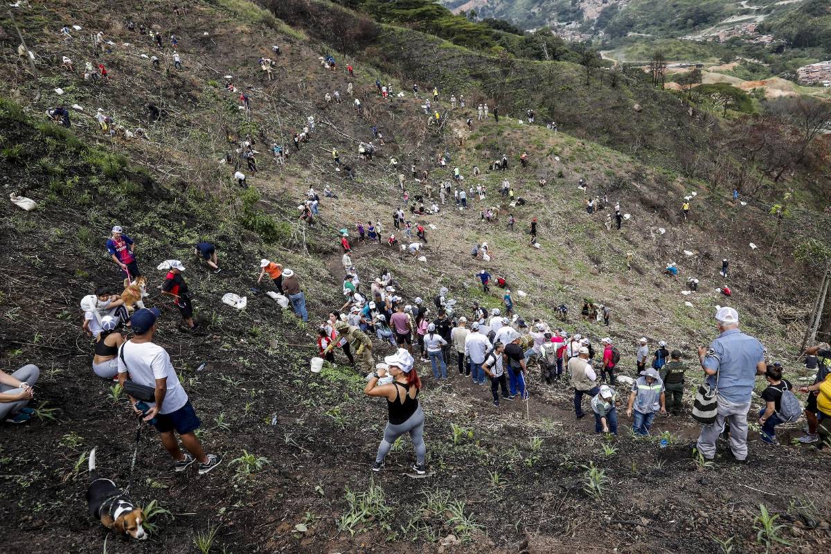 La Alcaldía de Medellín compró 103 de las 107 hectáreas del cerro. FOTO JAIME PÉREZ MUNÉVAR