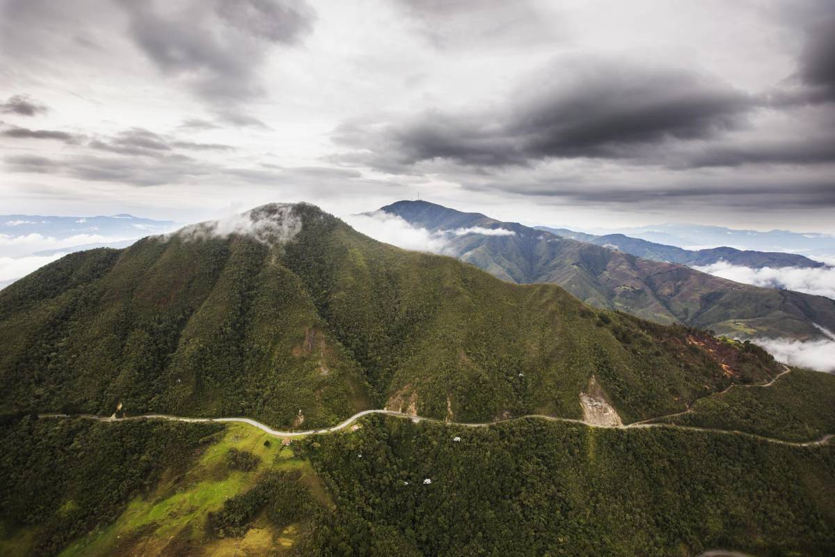En el Alto de Boquerón está el bosque montano húmedo. Queda a pocos minutos de zonas habitadas de Medellín. Foto: Esteban Vanegas