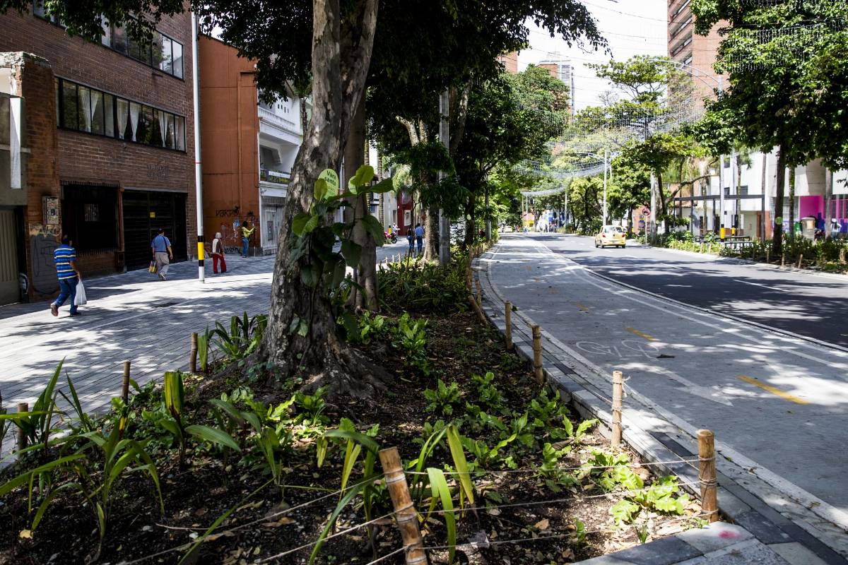 Esta renovación le da un nuevo panorama a esta avenida que había perdido su encanto. Foto Julio Herrera