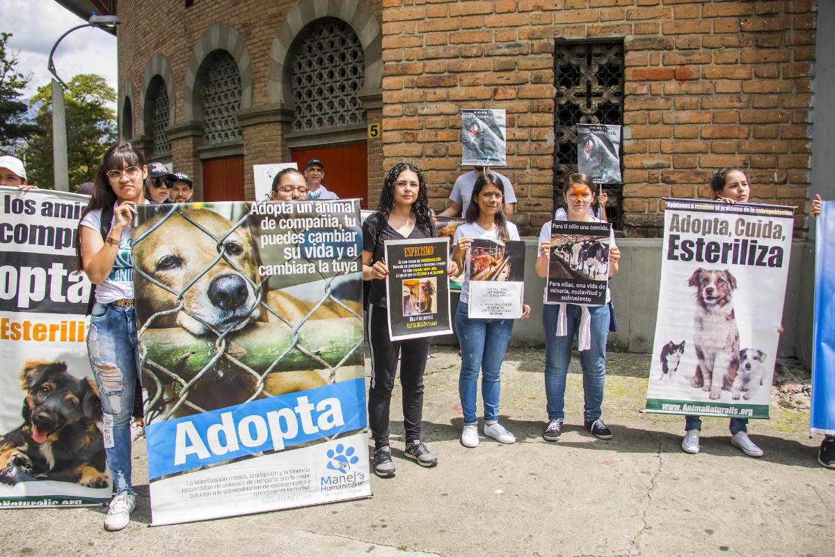 El plantón promovía buenas prácticas como la adopción de mascotas y buscaba visibilizar prácticas que pueden ser consideradas como maltrato animal. FOTO CARLOS VELÁSQUEZ