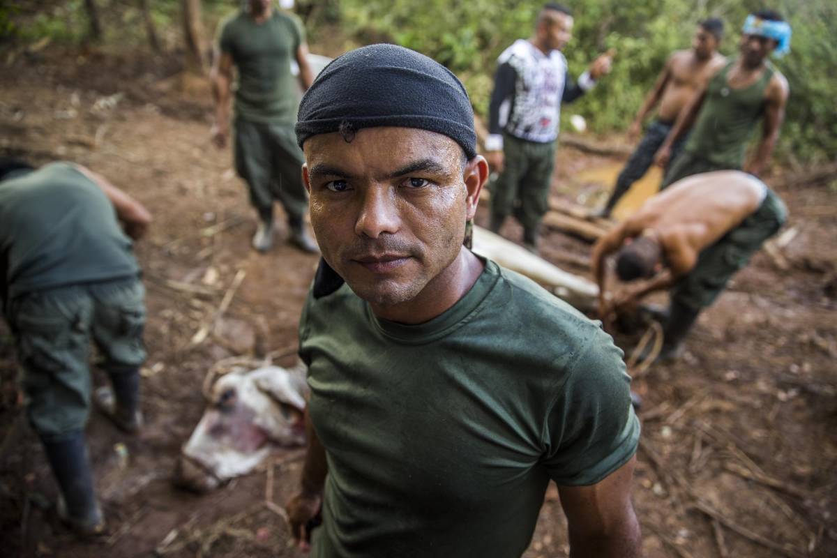 Guerrilleros se concentran en los llanos del Yarí. Foto Esteban Vanegas