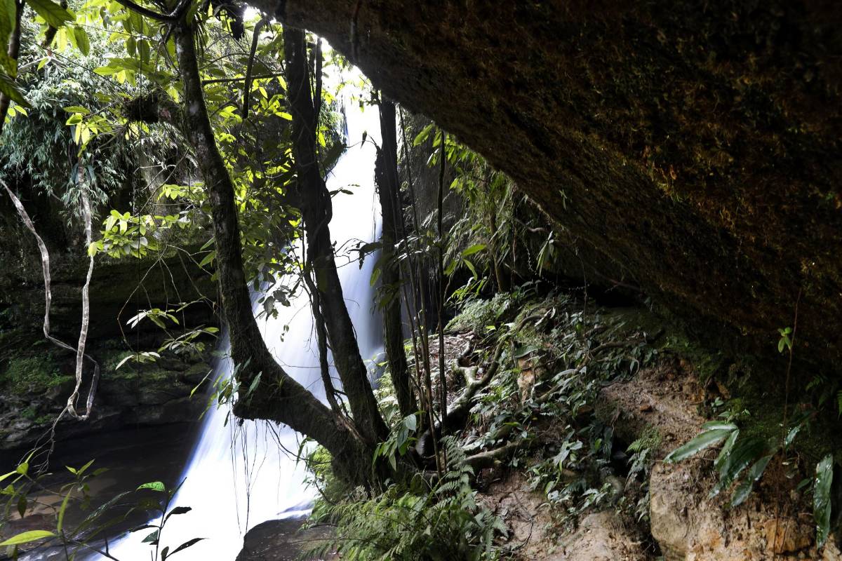 Es uno de los 24 Espacios Territoriales de Capacitación y Reincorporación (Etcr), en el que los excombatientes de la Farc aprovechan sus días para construir futuro a través de un turismo guiado para la comunidad y turistas que desean conocer donde antes eran territorios de conflicto. Foto: Manuel Saldarriaga Quintero