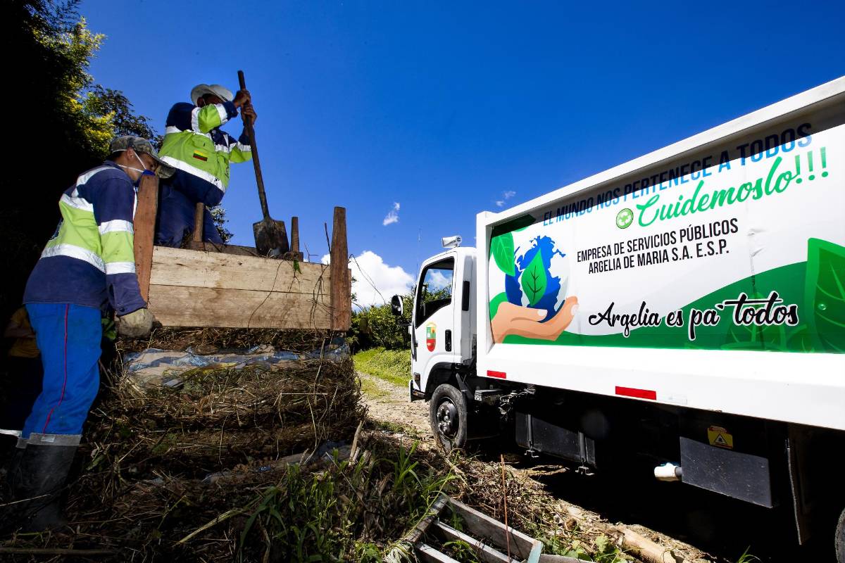 En el municipio de Argelia se procesan los residuos orgánicos para producir compostajes. Desde la cocina se empieza a realizar la separación de los residuos. Foto: Jaime Pérez