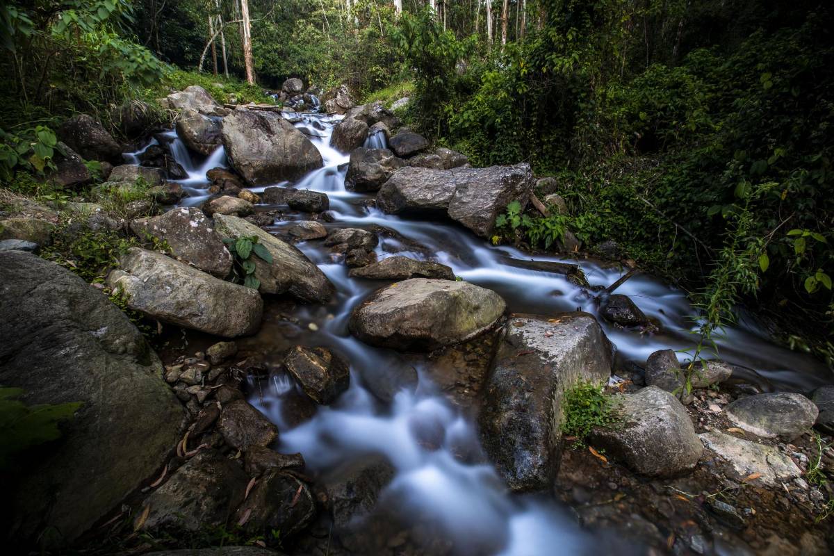 Esta quebrada nace en la vereda El Vallano pasa por El Salado y desemboca en el Río Medellín.. Foto: Edwin Bustamante