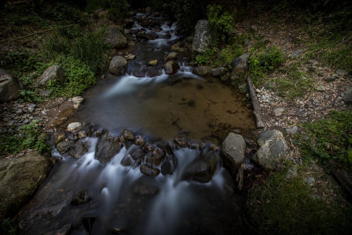 Los paisajes frescos adornan esta quebrada que surca Envigado. Foto: Edwin Bustamante