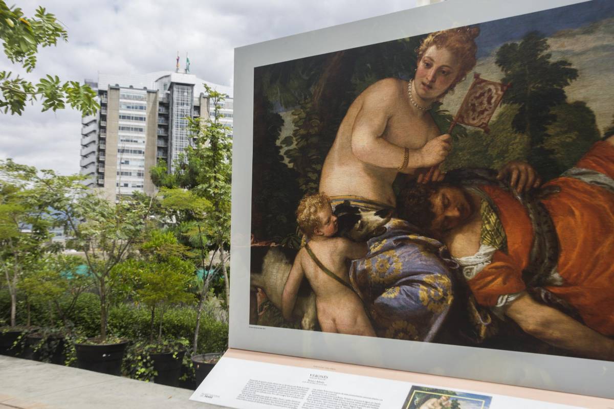 La muestra es un viaje a través de fotografías de las pinturas, una galería al aire libre. Es una exposición itinerante que lleva moviéndose por Suramérica y Centroamérica desde el 2011. Foto: Edwin Bustamante.