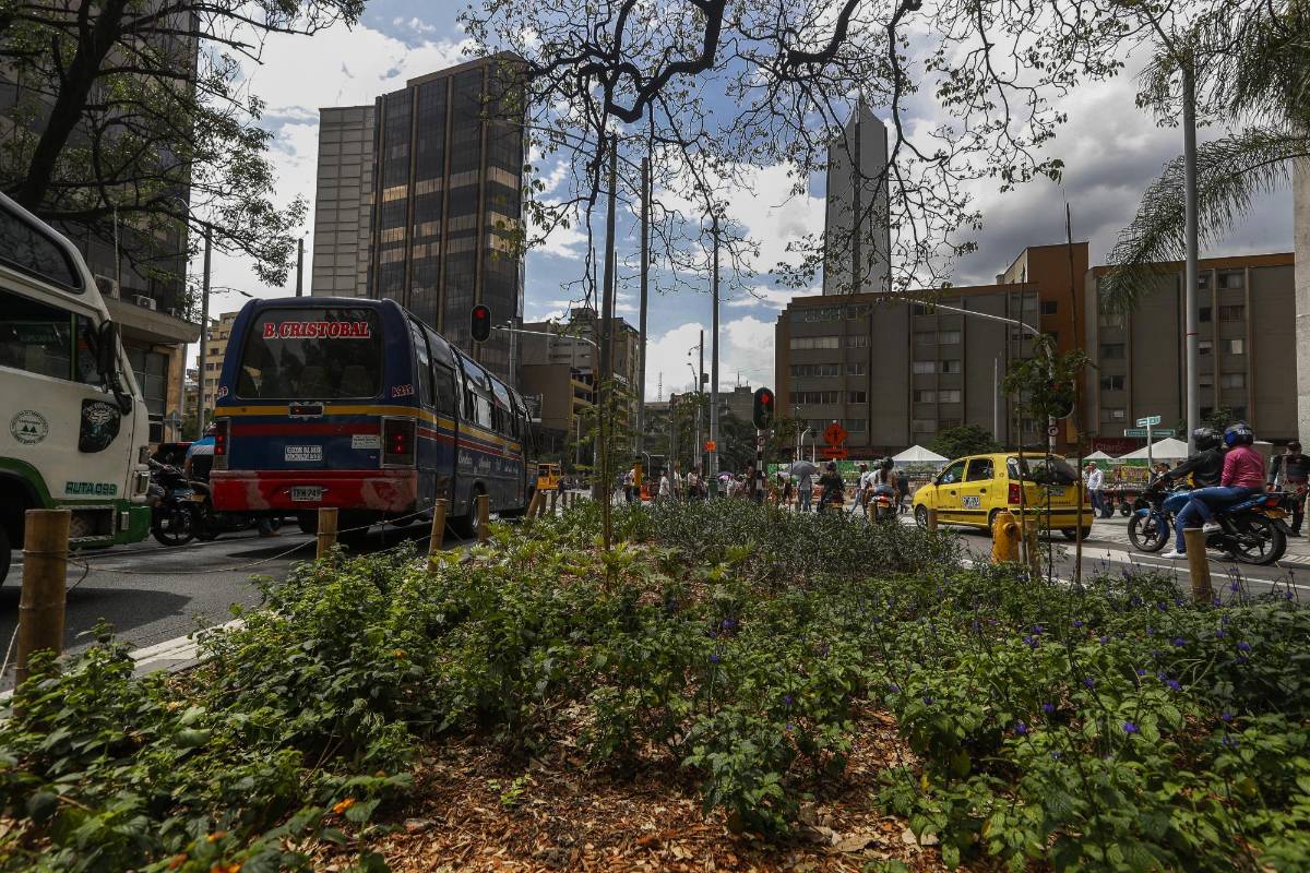 Los nuevos jardines y la gran cantidad de árboles volvieron el ambiente muy agradable. Foto Manuel Saldarriaga