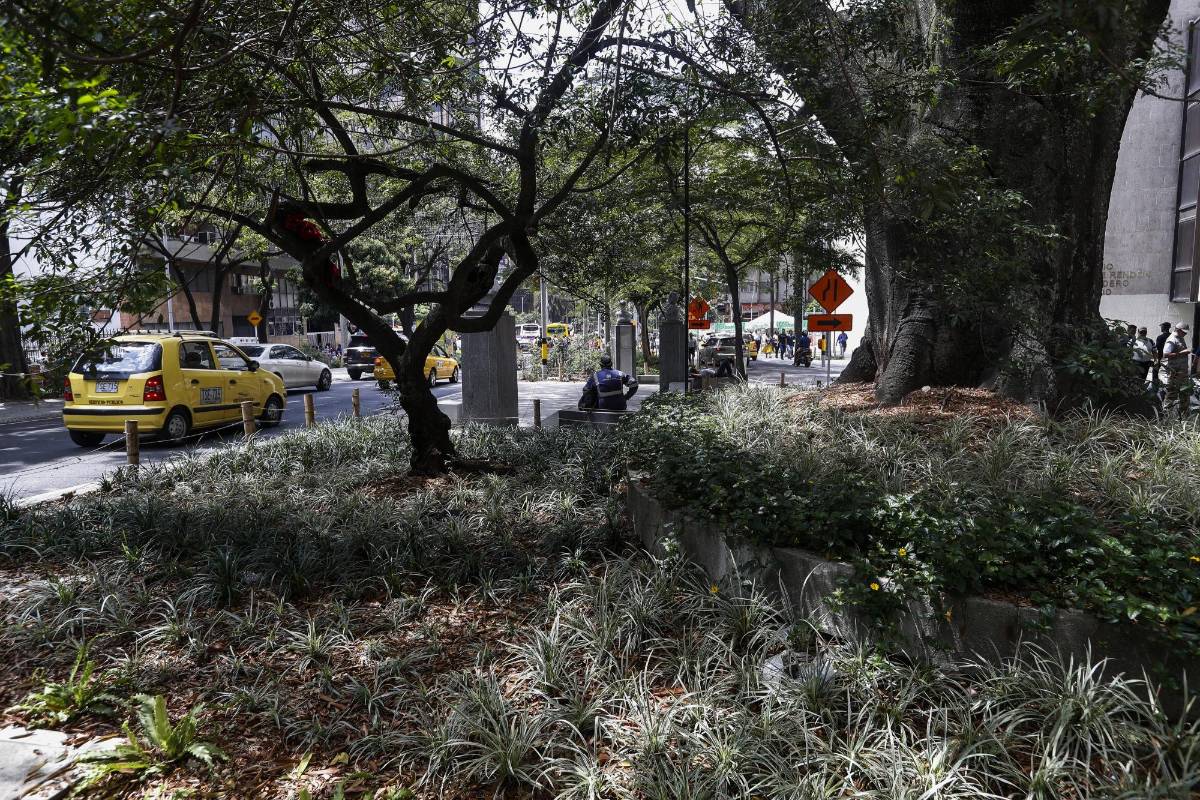 Los nuevos jardines y la gran cantidad de árboles volvieron el ambiente muy agradable. Foto Manuel Saldarriaga