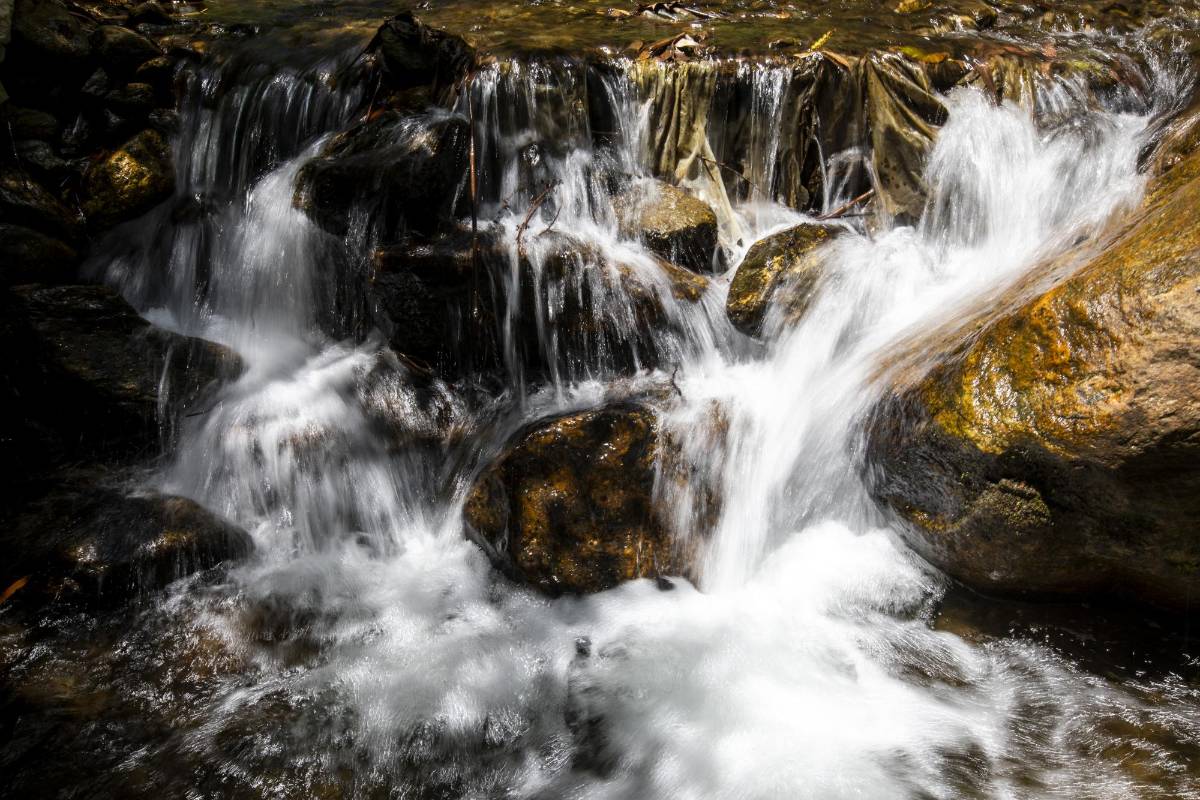 El Vallano, en Envigado, guarda ruidos de la naturaleza: el canto de los pájaros, árboles que se agitan con el viento y el correr del agua por el caudal de la quebrada La Ayurá. Foto: Edwin Bustamante