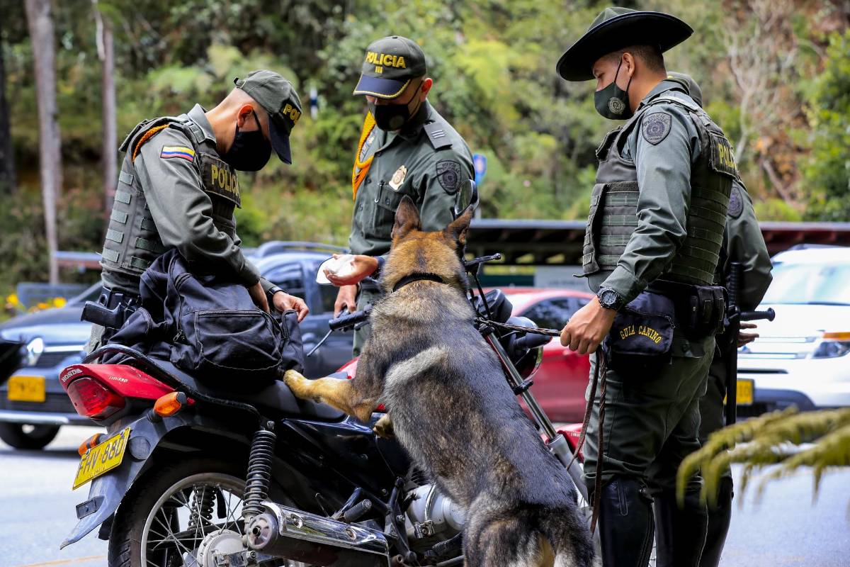 La presencia canino también hace parte de la seguridad en el parque Arví