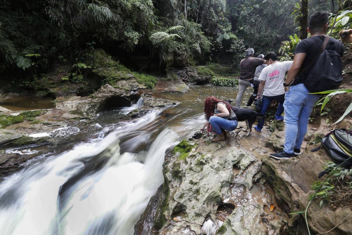 Es uno de los 24 Espacios Territoriales de Capacitación y Reincorporación (Etcr), en el que los excombatientes de la Farc aprovechan sus días para construir futuro a través de un turismo guiado para la comunidad y turistas que desean conocer donde antes eran territorios de conflicto. Foto: Manuel Saldarriaga Quintero