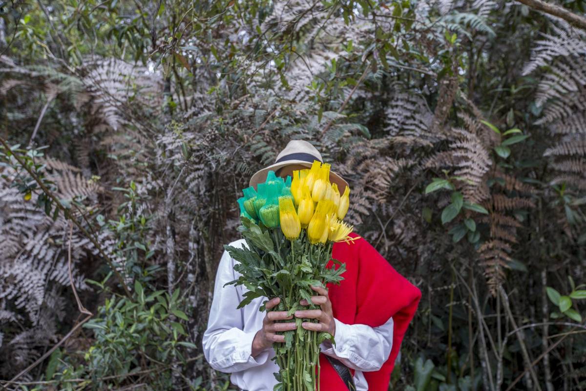 Italo Soto, 38 años. Vereda El Cerro. Flores: Pompones amarillos. FOTO: Santiago Mesa