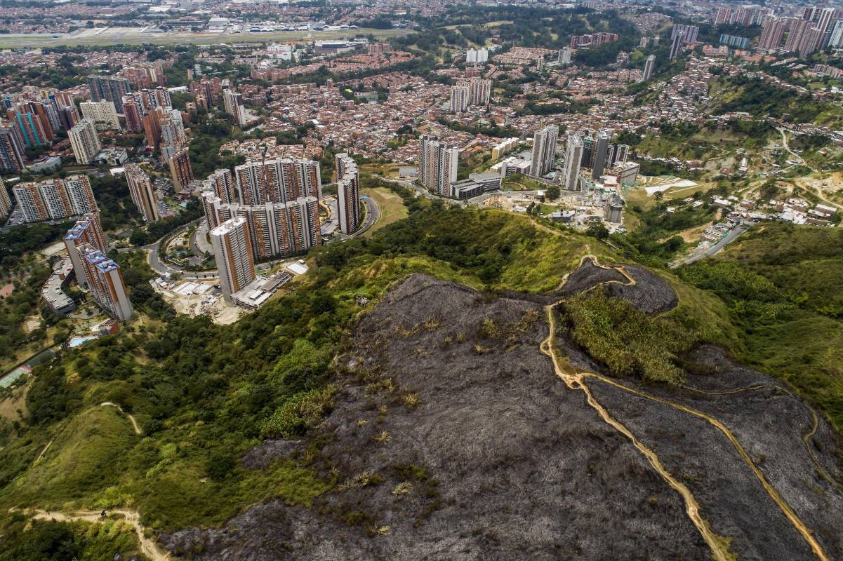 Según lo establecido, este incendio habría sido originado por tres personas (menores de edad). Foto: Esteban Vanegas Londoño. Foto: Esteban Vanegas Londoño. 