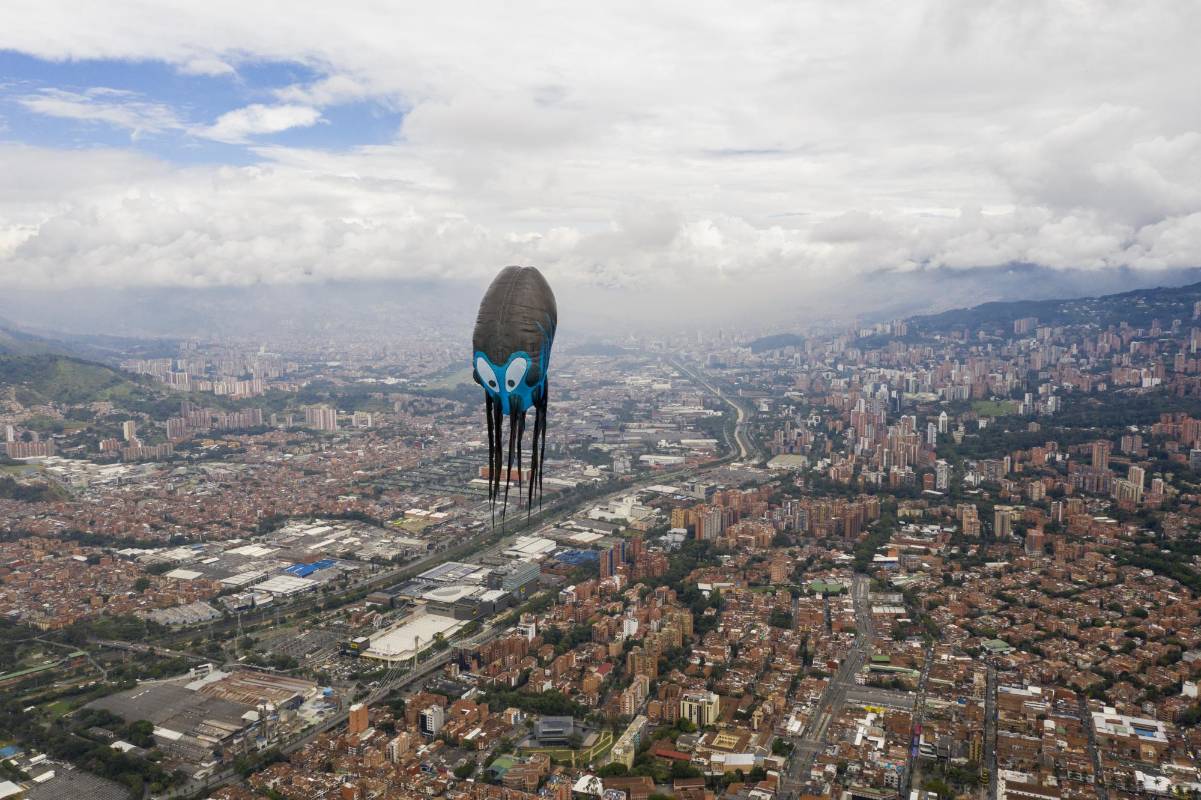 Así se vio este pulpo gigante. FOTO Esteban Vanegas