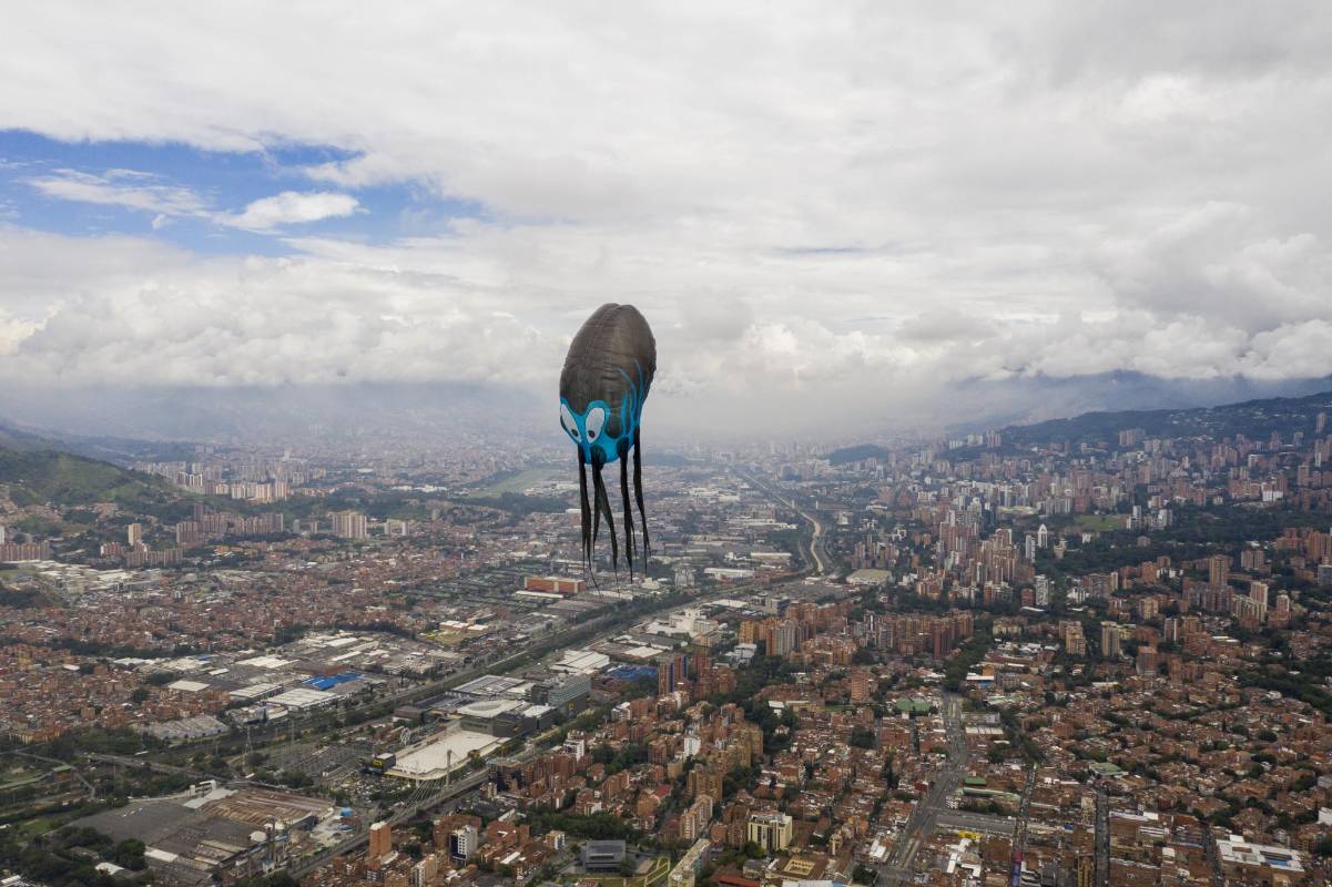 Otra mirada al pulpo gigante. FOTO Esteban Vanegas