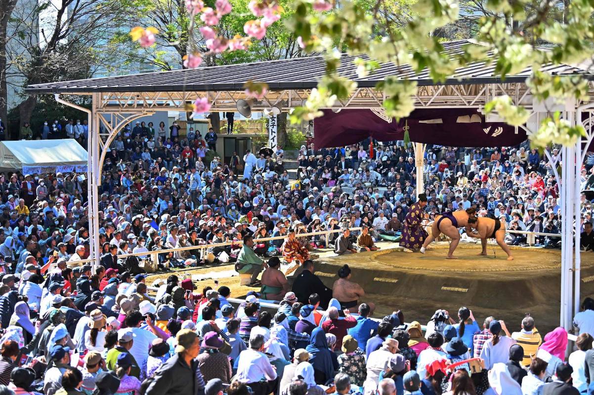 Más de un centenar de luchadores de sumo mostraron se mostraron frente a miles de espectadores en el festival anual de primavera Honozumo que se celebró en este santuario Yasukini, uno de los más famosos del país. Foto: CHARLY TRIBALLEAU / AFP