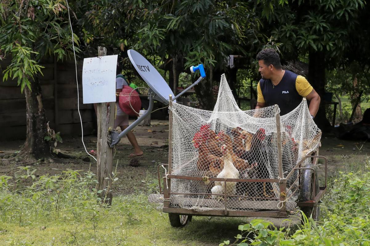 En un caserío conocido como La Isla de la Amargura de Cáceres, Antioquia, el clan del golfo amenazó a sus pobladores, todos ellos campesinos, el pasado 2 de septiembre lo que causó una salida masiva por temor a represalias de este grupo armado ilegal. Hoy este lugar está vacío. Foto: Jaime Pérez, enviado especial.