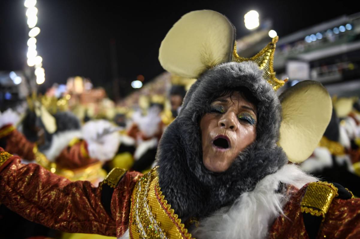 Las doce escuelas que participaron forman parte del llamado Grupo Especial, la elite del carnaval, y todas ellas tienen origen en favelas o barrios humildes. FOTO AFP