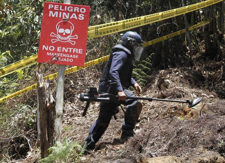 El desminado humanitario tiene tres etapas: estudio no técnico, para recoger información; estudio técnico, para investigar en profundidad la información obtenida; y el despeje. FOTO DONALDO ZULUAGA