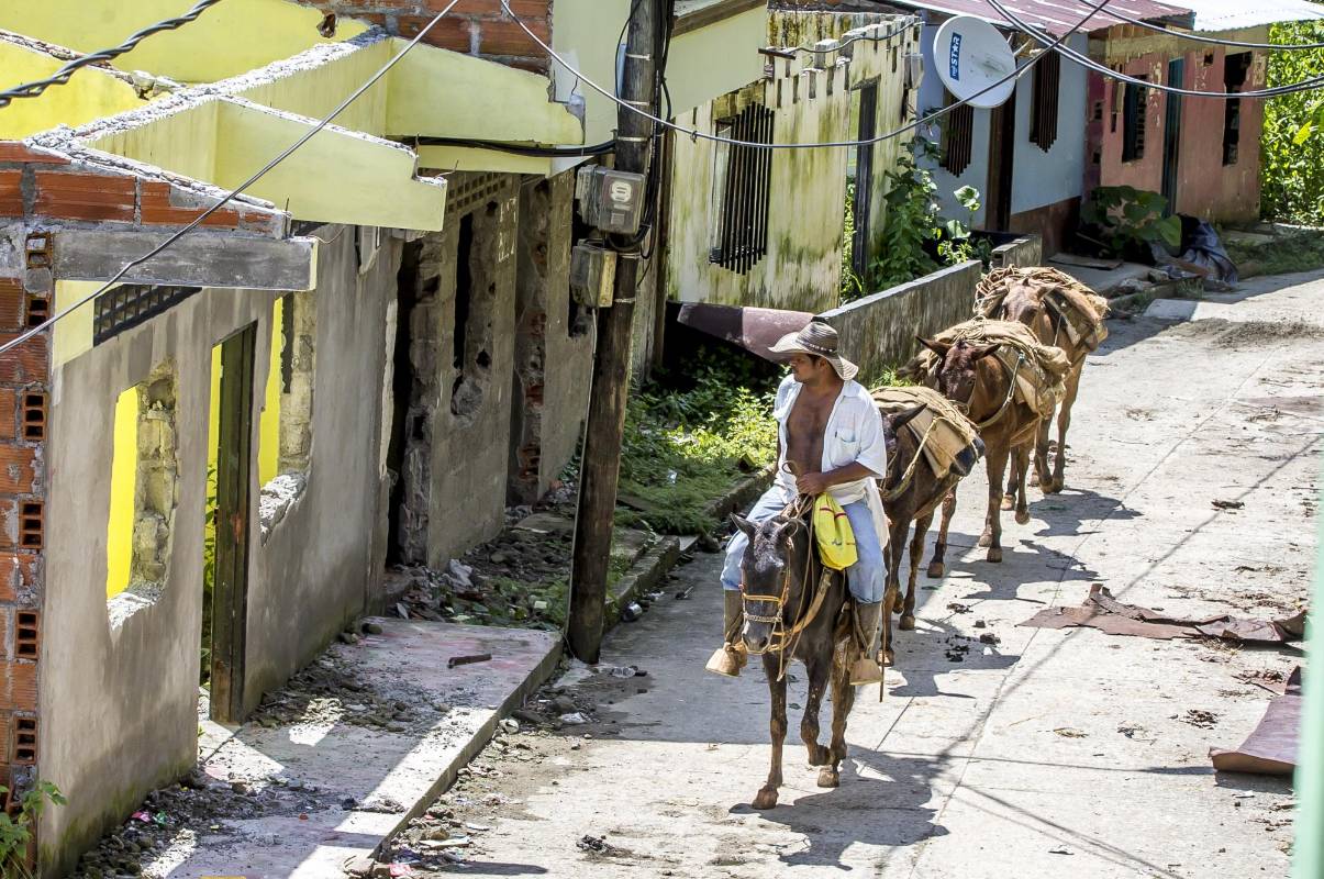 Los barrios Tapias y La Arrocera siguen siendo tierra de nadie y las viviendas se las están robando a pedazos. Foto Juan Antonio Sánchez Ocampo 
