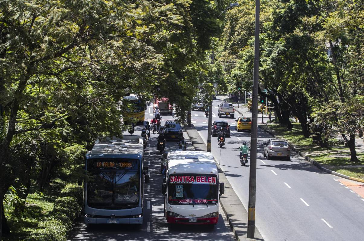 Con los anuncios de construcción del metro de la 80, ambientalista y vecinos del sector expresan inquietud por el impacto que tendrá sobre la conectividad ambiental en la zona. Foto: Manuel Saldarriaga Quintero