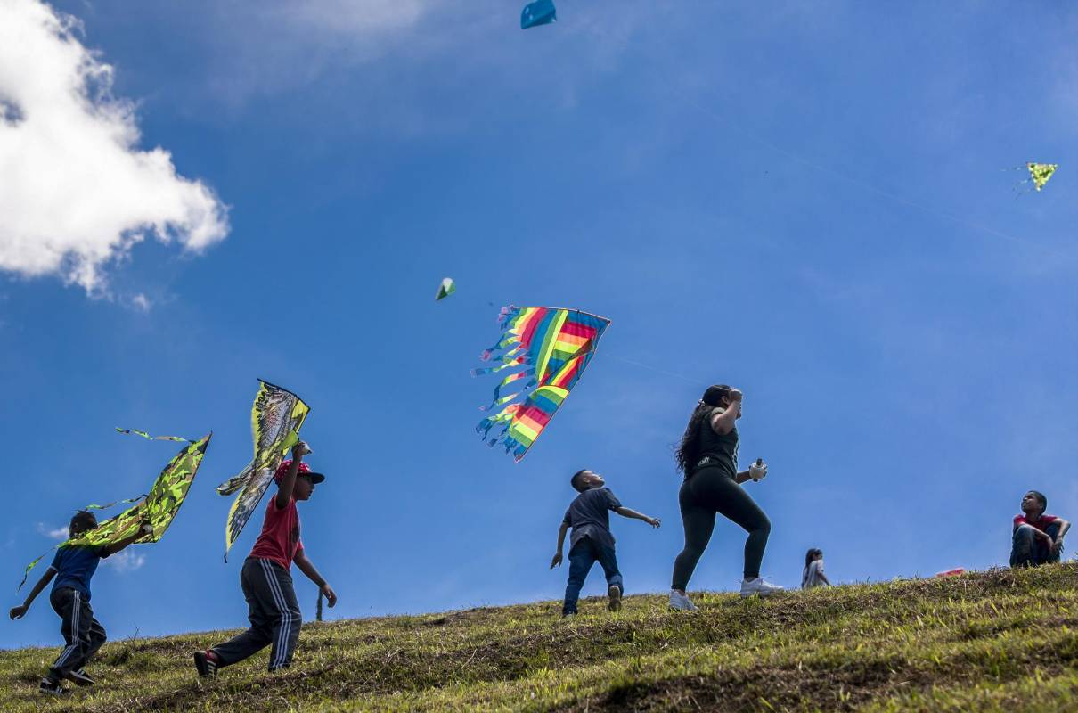 Además de disfrutar los vientos de agosto volando cometas, quienes se convocaron en Buga pudieron apreciar la creatividad en el aire. FOTO: CAMILO SUÁREZ.
