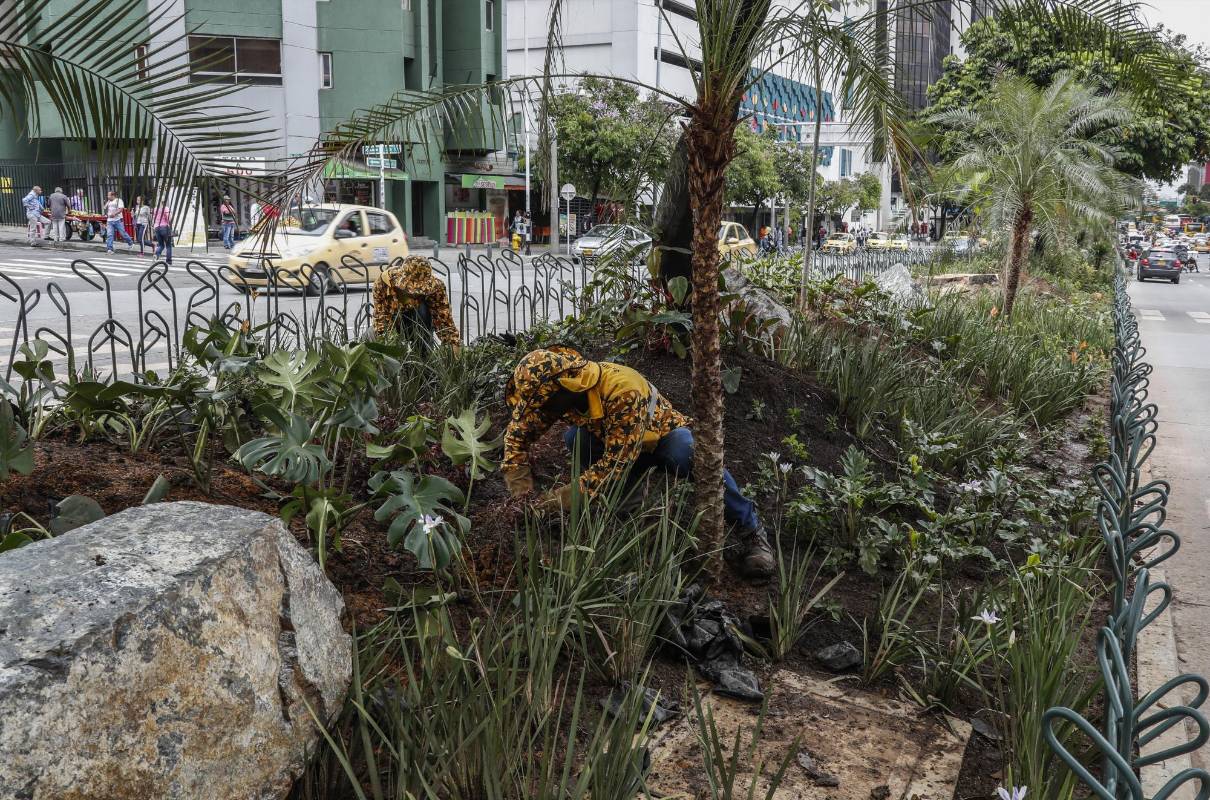 Avenida Oriental con la calle 54 Caracas. Foto: Robinson Sáenz Vargas
