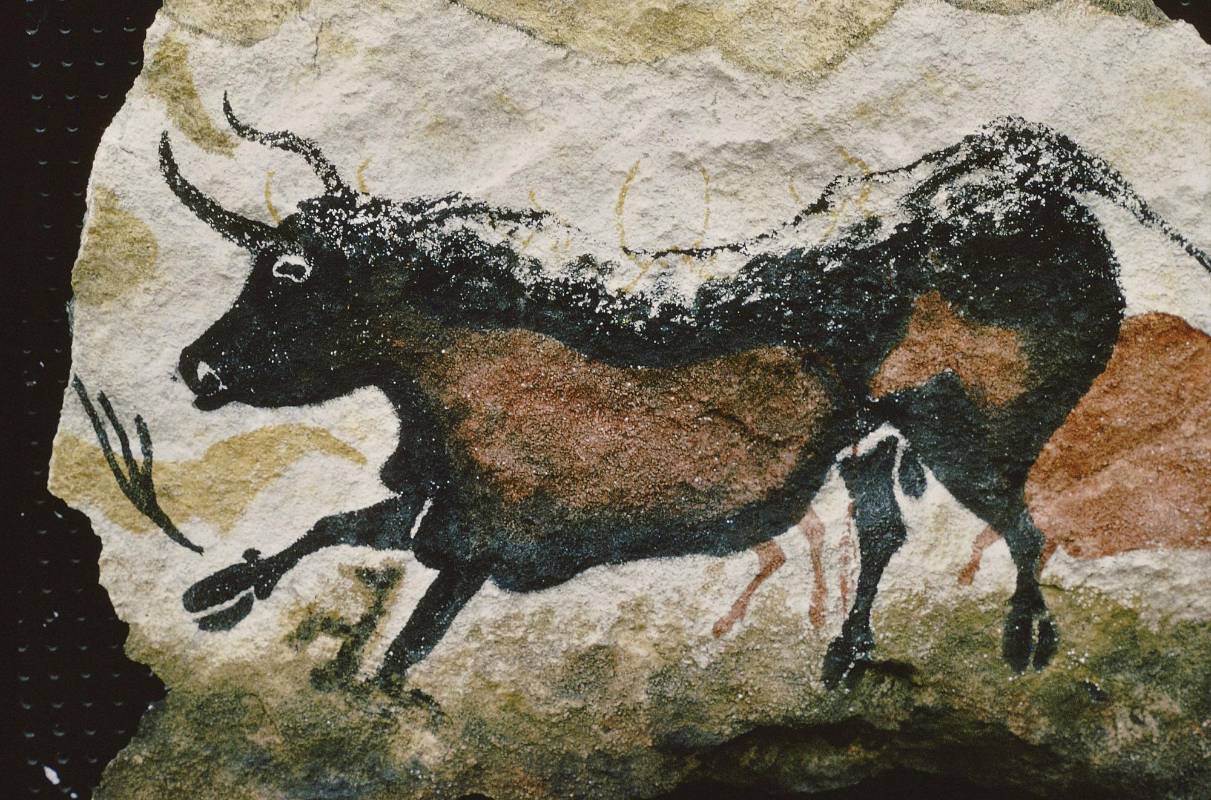 Los 200 metros de profundidad de la cavidad prehistórica posee salas circulares y galerías con murales que representan una gran variedad de animales. Foto: Getty