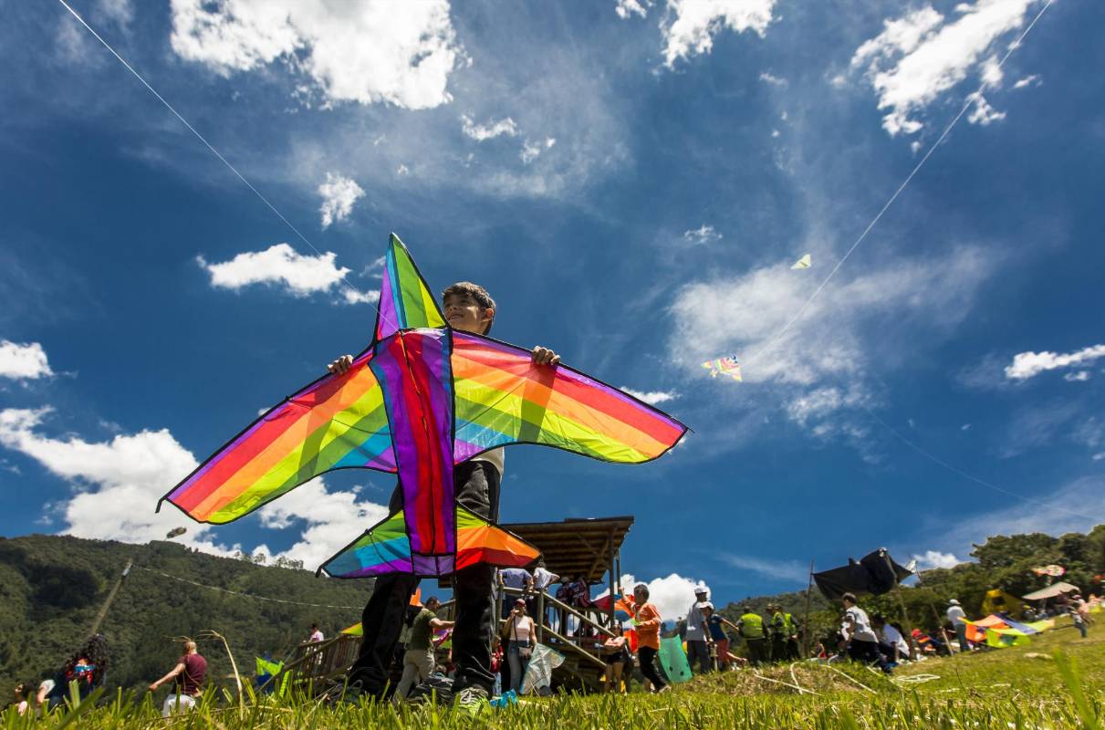 Además de disfrutar los vientos de agosto volando cometas, quienes se convocaron en Buga pudieron apreciar la creatividad en el aire. FOTO: CAMILO SUÁREZ.
