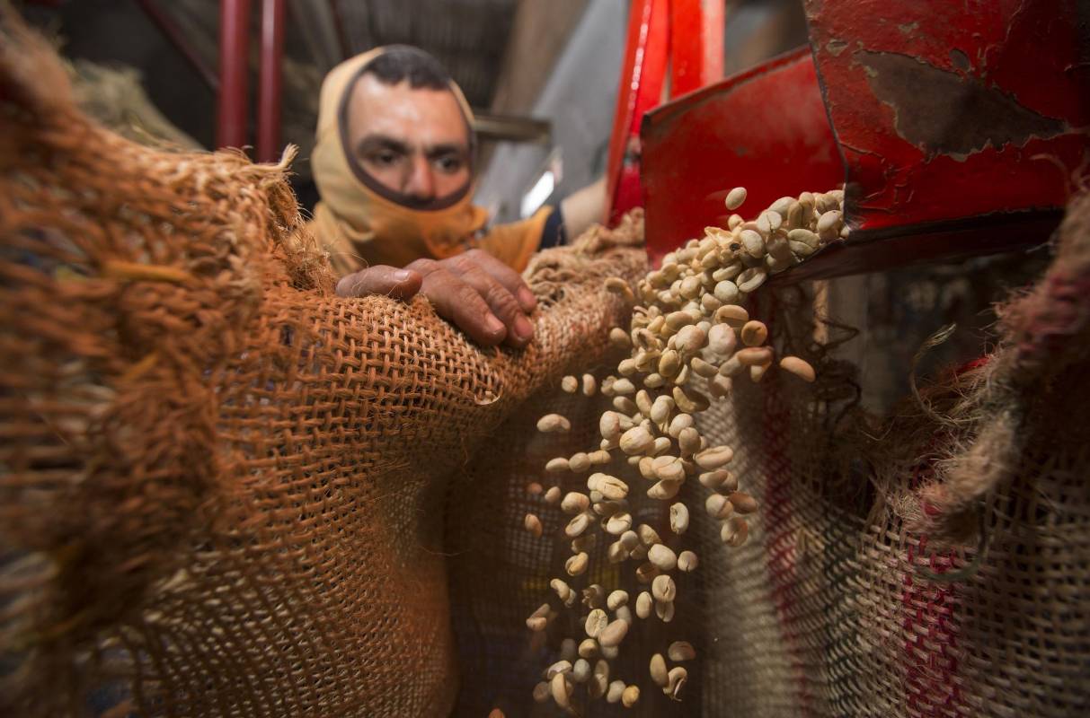 Existe la posibilidad del que el café Colombiano deje de cotizar en la bolsa de Nueva York. Los caficultores piden al gobierno medidas de urgencias como el apoyo directo al preció que se mantiene por debajo de un dólar la libra. Foto: Manual Saldarriaga Quintero