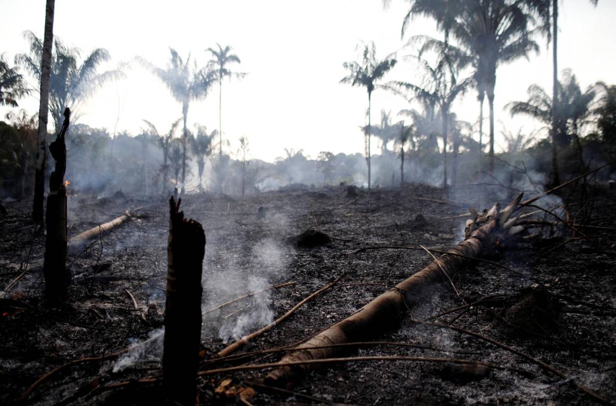 La región atraviesa un periodo de sequía. FOTO REUTERS