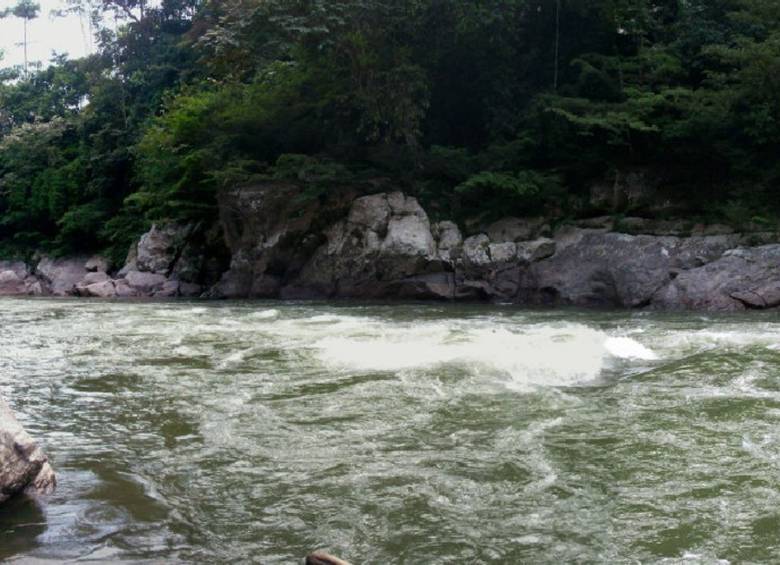 Imagen de la zona donde se construirá la central hidroeléctrica Porvenir II que tomará aguas del río Samaná, entre los municipios de San Carlos y Puerto Nare. Foto: Cortesía