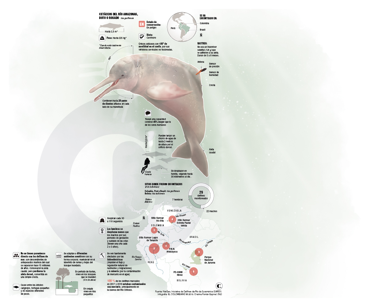 InfogrÃ¡fico
