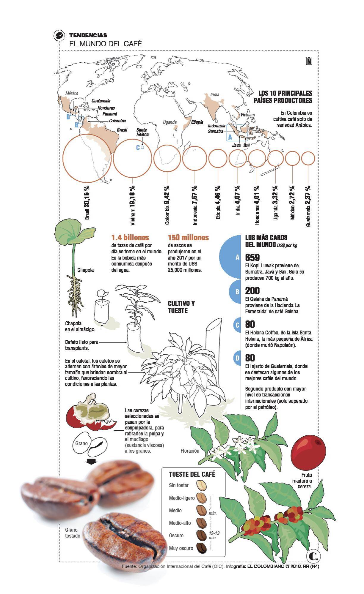 InfogrÃ¡fico