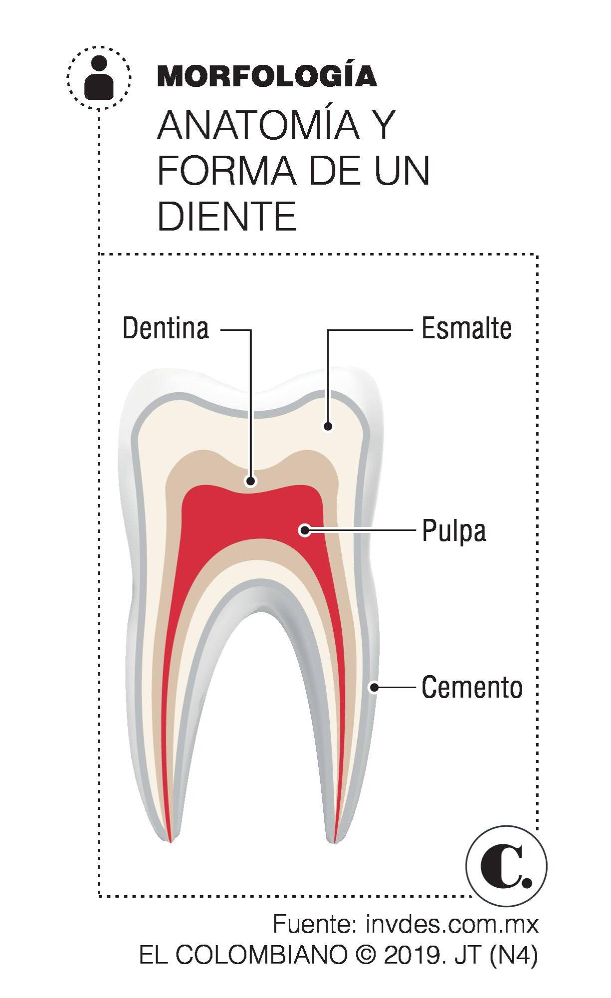 InfogrÃ¡fico