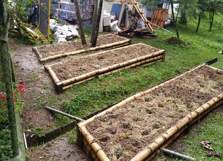 En ISA Intercolombia se promueve la conexión de los colaboradores con el entorno que los rodea. FOTO CORTESÍA