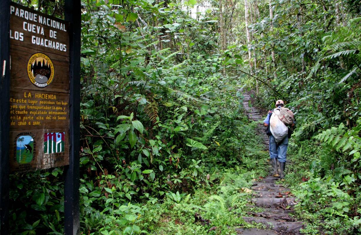 El parque nacional natural Cueva de los Guácharos es una de las 56 áreas protegidas del sistema de Parques Nacionales y la más antigua, creada en 1960. FOTO COLPRENSA
