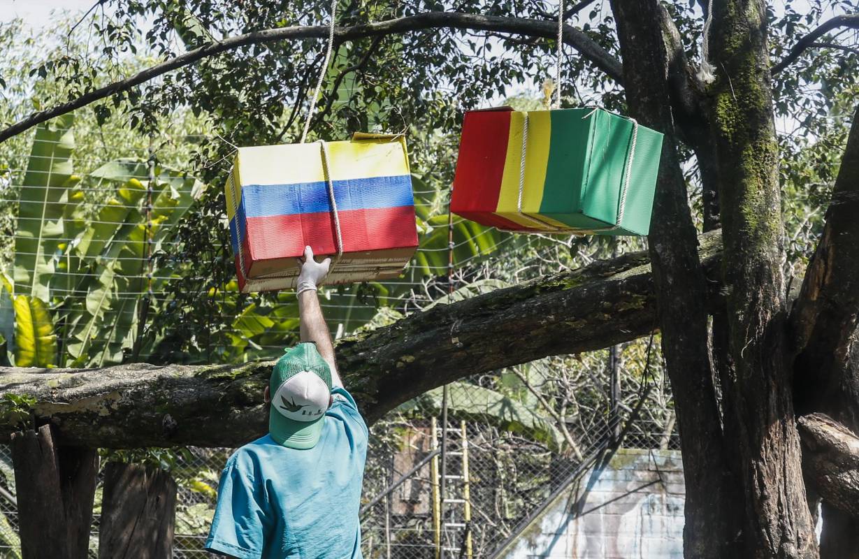 Los empleados del zoológico santa fe organizan las cajas con escénica de canela y heno. Foto: Robinson Sáenz