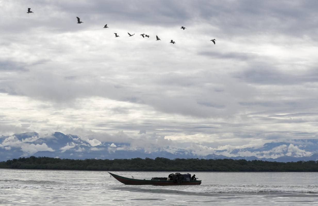 Puerto de Buenaventura, escenario fluvial para grandes y pequeñas embarcaciones. Foto: Manuel Saldarriaga Quintero