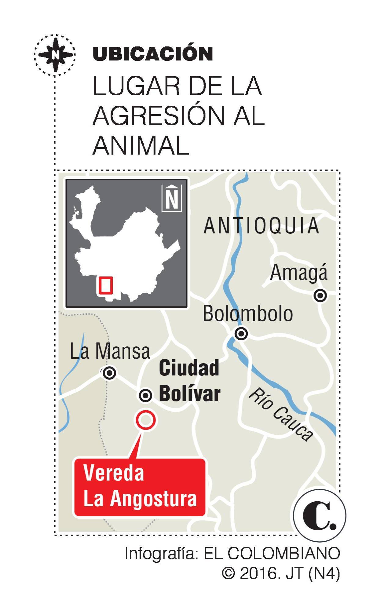 InfogrÃ¡fico