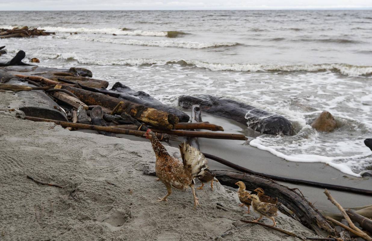 Las Medidas de bioseguridad para volver al mar, implicaran un cambio de mentalidad en la forma de vacacionar con el fin de garantizar el cuidado para evitar contagios de covid . Foto: Manuel Saldarriaga Quintero.