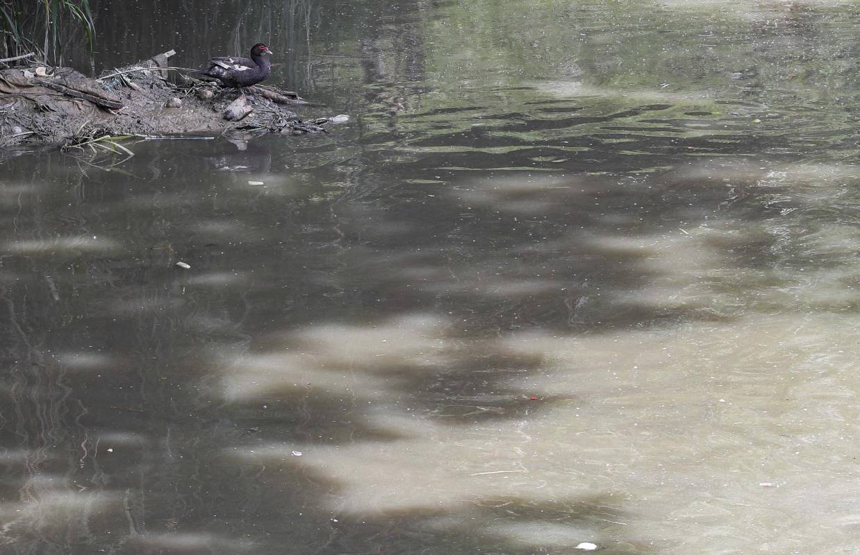 La suspensión de gran parte de la actividad comercial e industriales alivió la carga contaminante. Sin embargo según el Amva los hogares contaminan más. Estas son algunas imágenes entre el municipio de Caldas hasta el municipio de Barbosa. Foto: Manuel Saldarriaga Quintero.