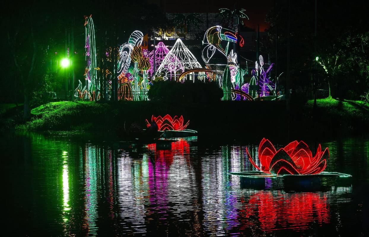 Alumbrados Parque Norte 2018. FOTO Manuel Saldarriaga