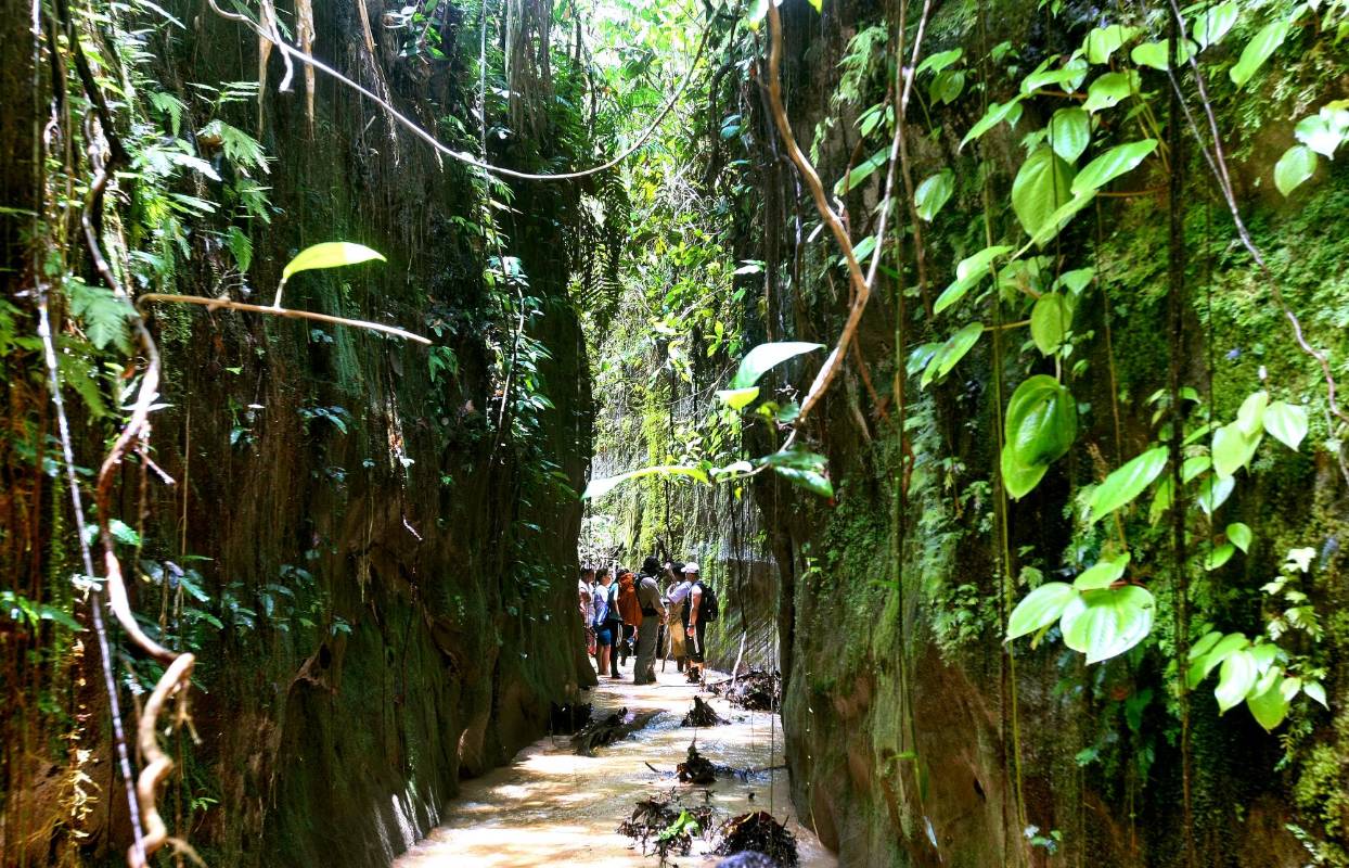 Caquetá: Reserva Natural Las Dalias en el municipio La Montañita, Florencia Caqueta. FOTO Juan Antonio Sánchez Ocampo