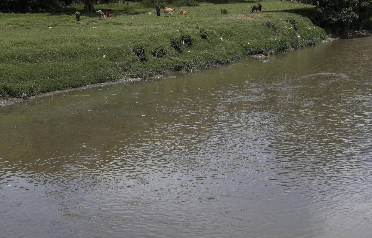 La suspensión de gran parte de la actividad comercial e industriales alivió la carga contaminante. Sin embargo según el Amva los hogares contaminan más. Estas son algunas imágenes entre el municipio de Caldas hasta el municipio de Barbosa. Foto: Manuel Saldarriaga Quintero.