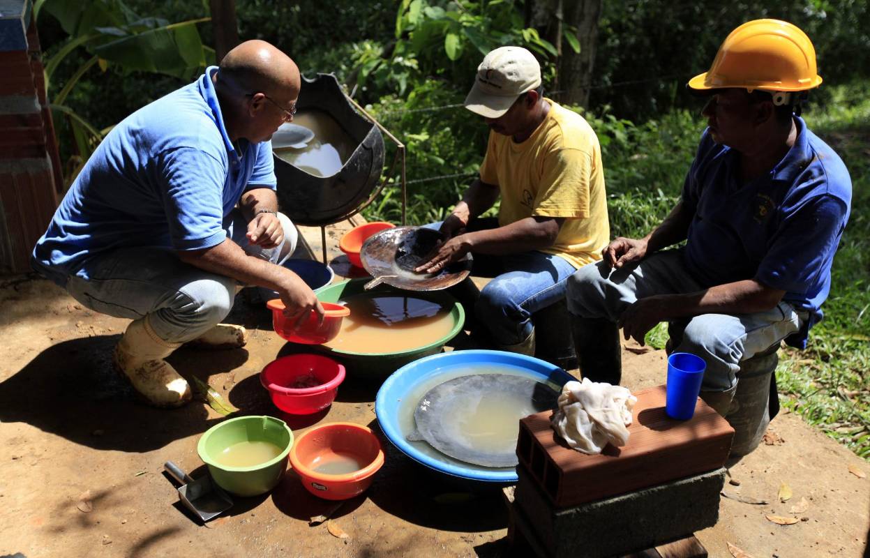 El proceso de lavado lo llevan a cabo por lo menos dos mineros que con sus bateas van limpiando la amalgama, mientras otro va almacenándola limpia en otros recipientes. FOTO MANUEL SALDARRIAGA